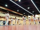 2024 UniSA Taekwondo Training fees (July-Dec) UniSA students
